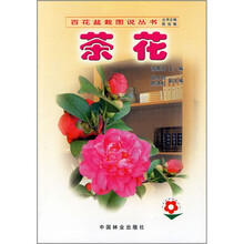 茶花