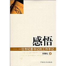 感悟：一位市纪委书记的工作手记