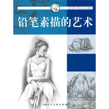 铅笔素描的艺术
