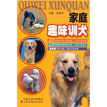 家庭趣味训犬