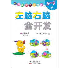 左脑右脑全开发：5-6岁