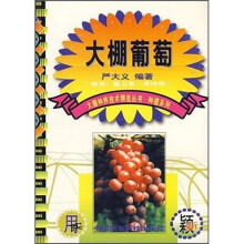 大棚葡萄