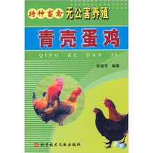 青壳蛋鸡