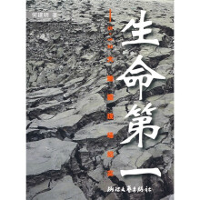 生命第一:5.12大地震现场纪实