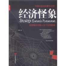 经济怪象：全面揭示中国人当下生存困境