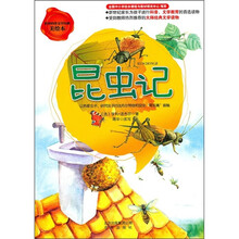 昆虫记（美绘本）