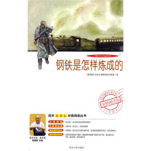 语文新课标分级阅读丛书:钢铁是怎样炼成的(附DVD光盘1张)