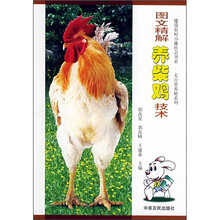 图文精解养柴鸡技术