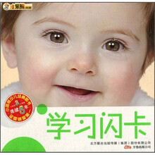 小笨熊典藏：学习闪卡