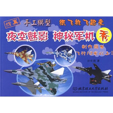 纸飞机飞起来：夜空魅影 神秘军机秀