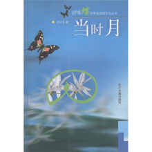 当时月
