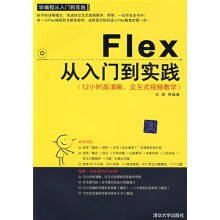 学编程从入门到实践:Flex从入门到实践(配DVD-ROM光盘1张)