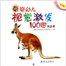 婴幼儿视觉激发100图：大小卡