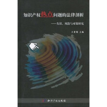 知识产权热点问题的法律剖析:失误、风险与对策研究