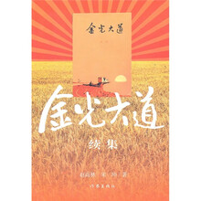金光大道续集