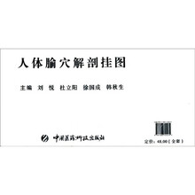 人体腧穴解剖挂图（全套）
