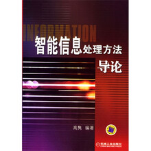 智能信息处理方法导论