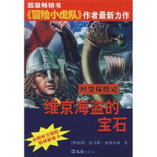 时空探险记:维京海盗的宝石