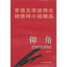 茅盾文学奖得主徐贵祥小说精品:仰角