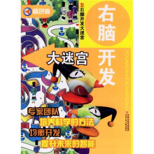 右脑开发大迷宫(橙色卷)