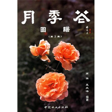 月季花图谱2