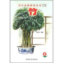 竹
