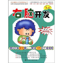 左右脑智力开发阶梯丛书:右脑开发(3~4岁)