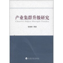 产业集群升级研究