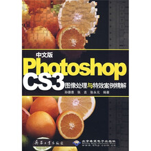 中文版Photoshop CS3图像处理与等效案例精解(附DVD光盘1张)