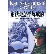 钢铁是怎样炼成的(附光盘)