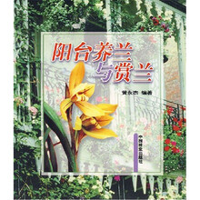 阳台养兰与赏兰