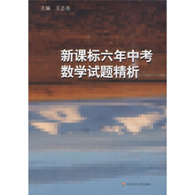 新课标六年中考数学试题精析