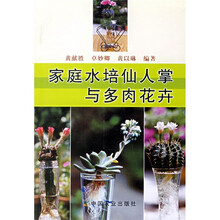 家庭水培仙人掌与多肉花卉