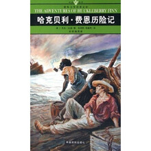 名家名译·世界文学名著文库：哈克贝利·费恩历险记（全译插图本）
