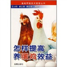 怎样提高养蛋鸡效益