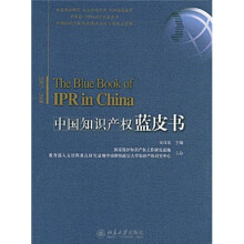 中国知识产权蓝皮书