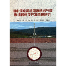 川中须家河组低渗砂岩气藏渗流规律及开发机理研究