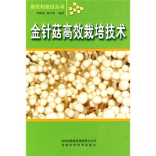 金针菇高效栽培技术