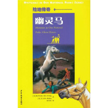 险地传奇：幽灵马