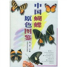 中国蝴蝶原色图鉴