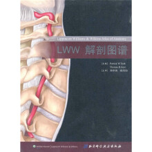 LWW解剖图谱