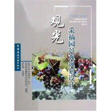 观光采摘园景观规划设计