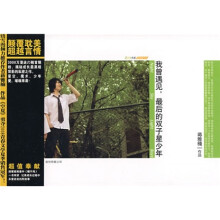 我曾遇见,最后的双子星少年