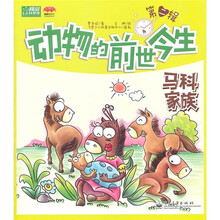 动物的前世今生：马科家族