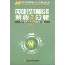 内部控制标准精要及分析1