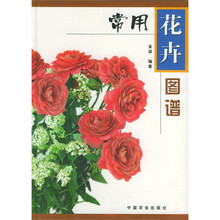 常用花卉图谱