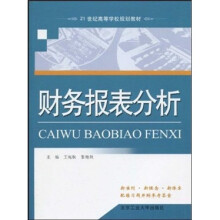 21世纪高等学校规划教材：财务报表分析