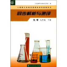 同步解析与测评:化学(9年级)(下册)(人教版)