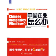 中国企业怎么办:目标、标杆对比和创新战略等的应用和实践