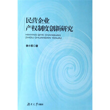 民营企业产权制度创新研究